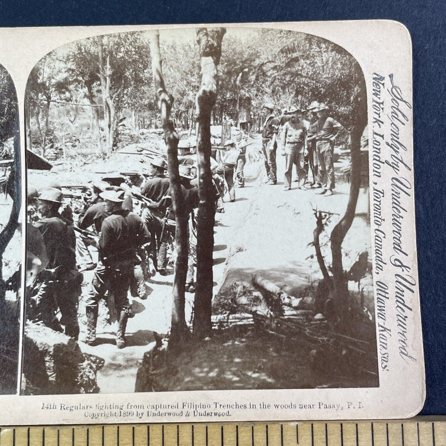 US 14th Infantry Regiment Golden Dragons Stereoview Antique c1899 X3150