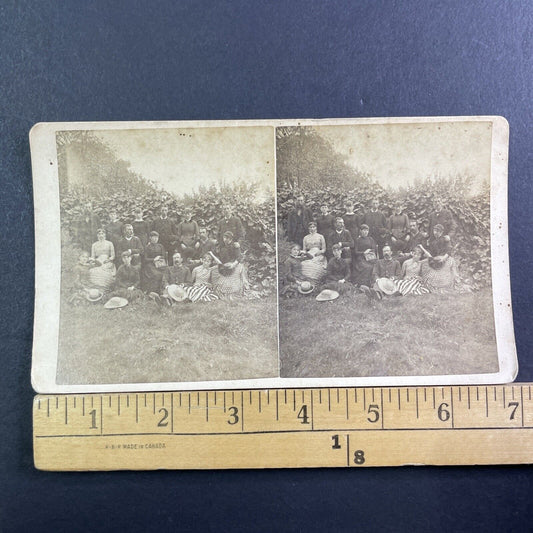 Marxist US Socialism Movement Group Photo Stereoview Antique c1880 X3768