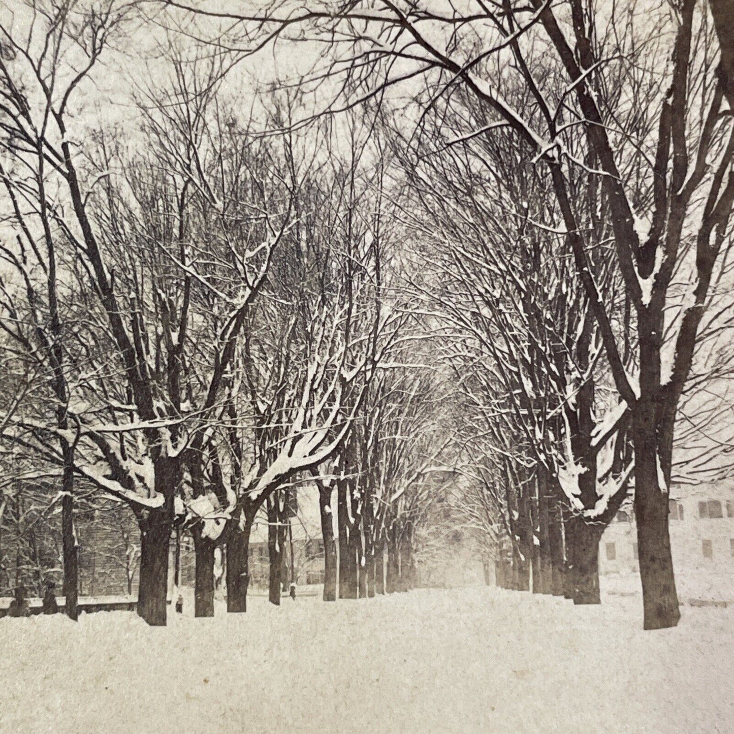 Great Blizzard March 24 1869 Stereoview Hanover NH Photo Card Antique 1869 X941