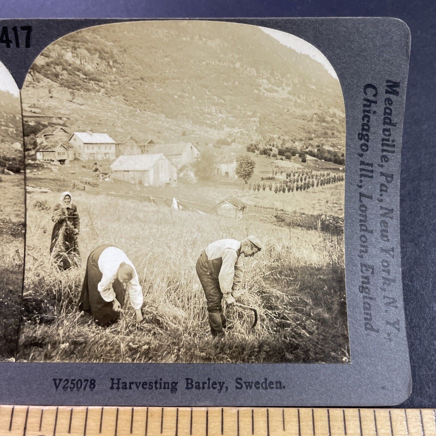 Antique 1910s Barley Farm In Northern Sweden Stereoview Photo Card P3749