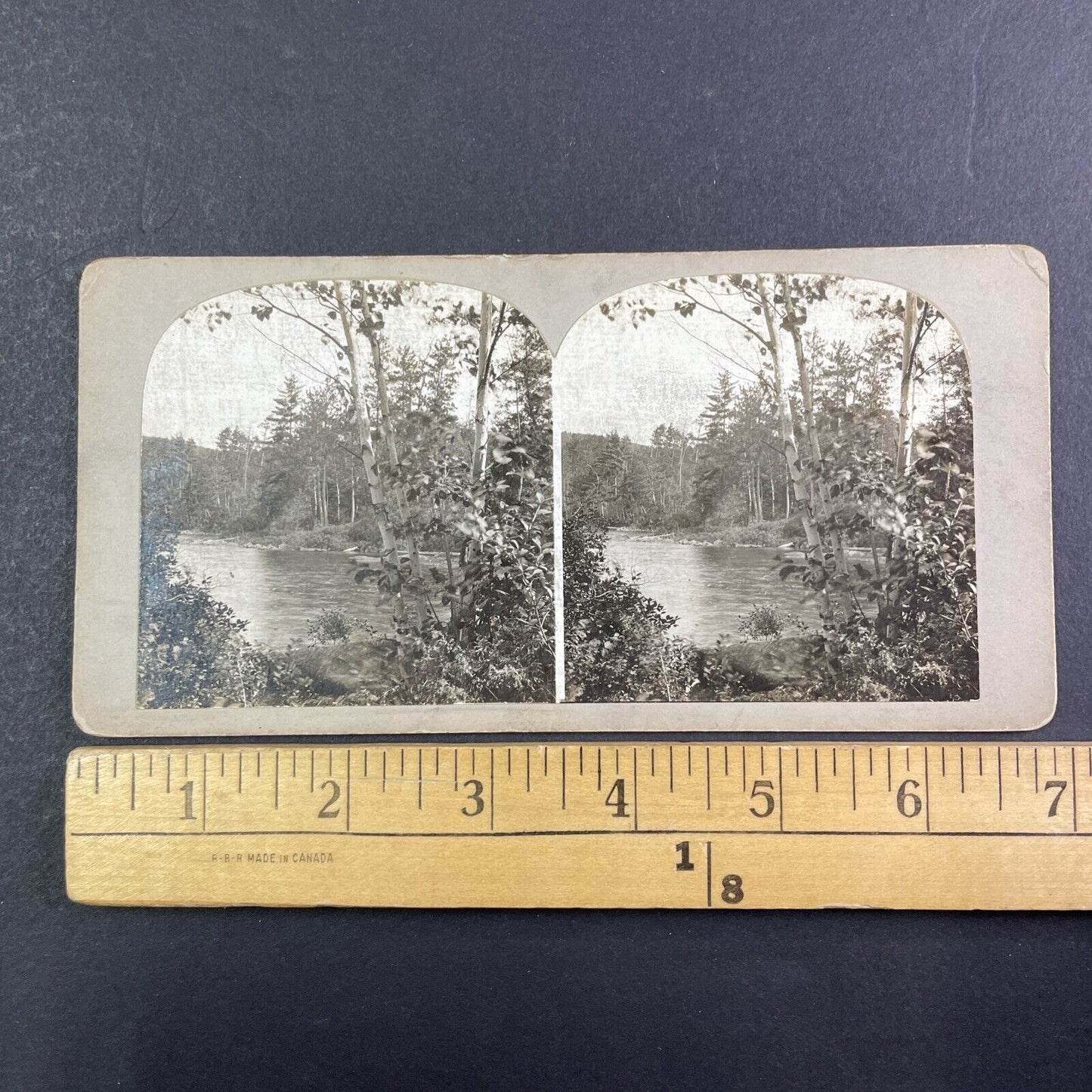 Lot of 3 Bass Lake Village California Stereoviews Camping Antique c1910s X3892