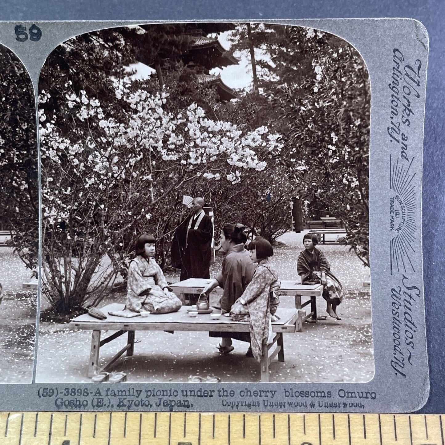 Tea Party under the Cherry Blossoms Stereoview Kyoto Japan Antique c1904 Y2788