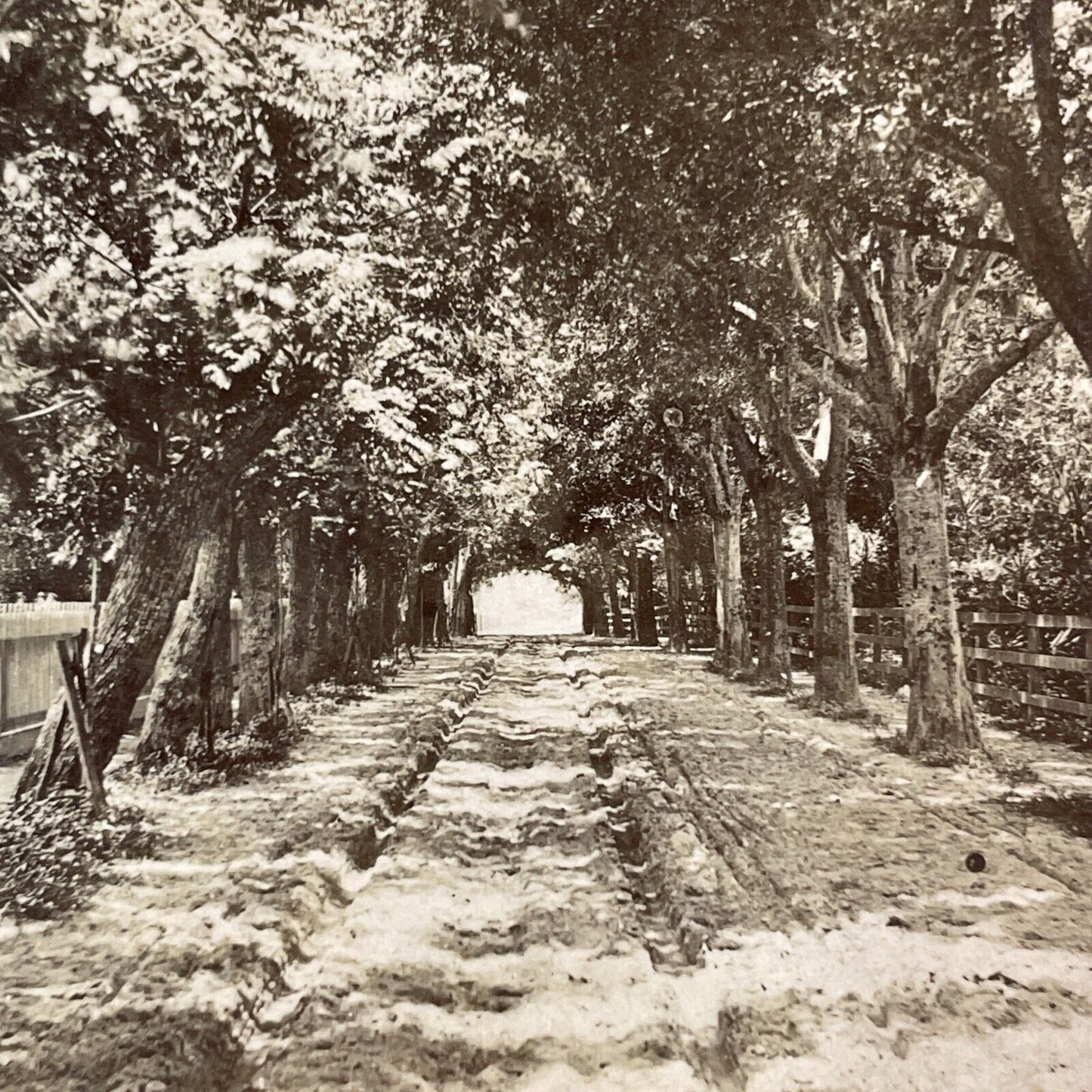 Archway Entrance to St. Augustine Florida Stereoview Antique c1870s Y085