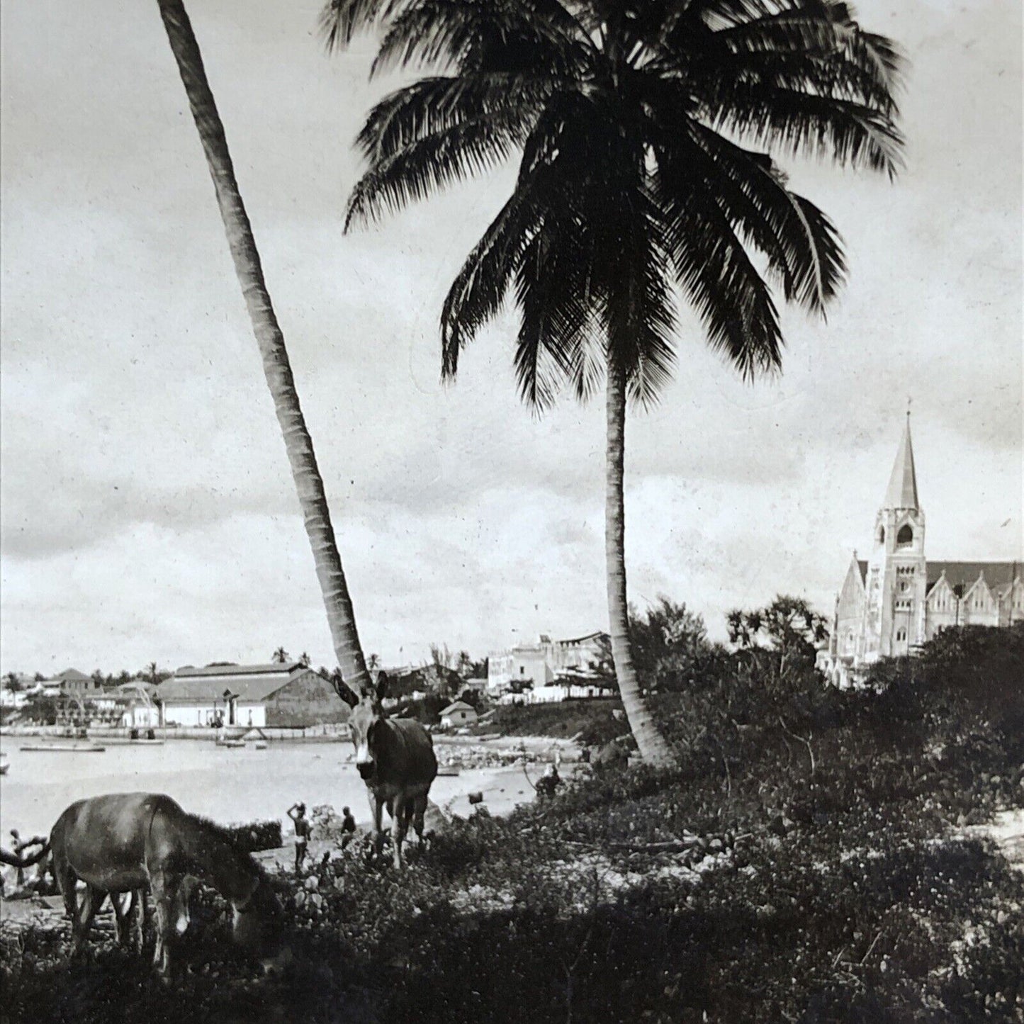 Antique 1910s City Of Dar Es Salaam Tanzania Stereoview Photo Card P2037