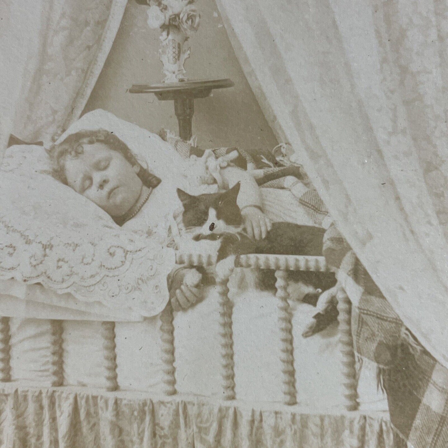 Antique 1870s Young Girl Sleeping With Cat In Crib Stereoview Photo Card P4142