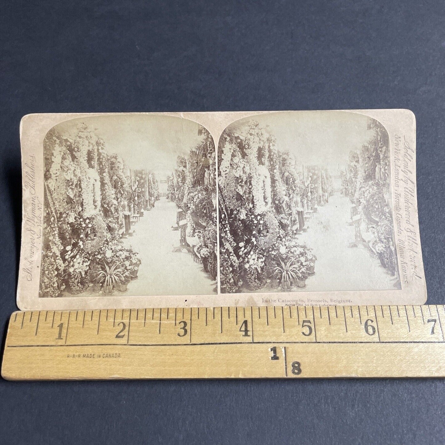 Antique 1894 The Black Death Catacombs Belgium Stereoview Photo Card P4319