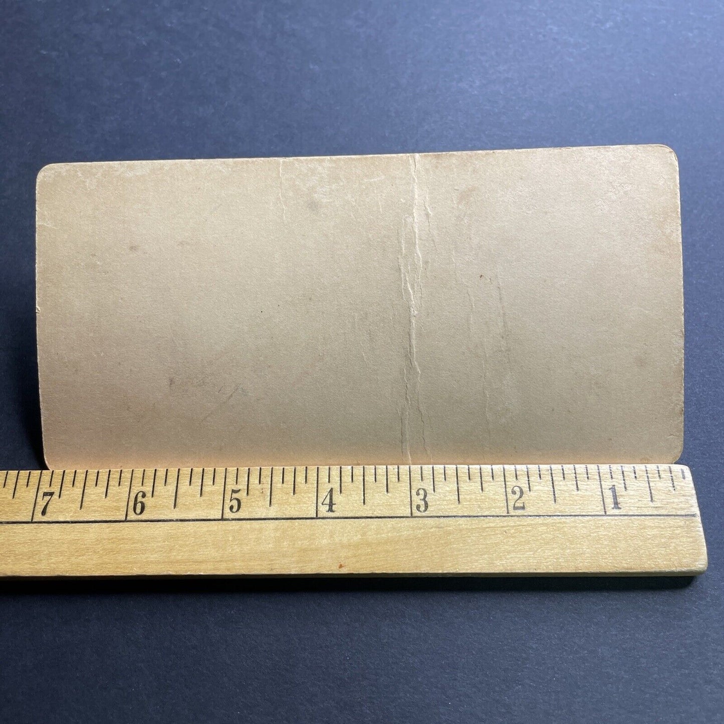 Antique 1860s Polygamous Wedding Polygamy USA Stereoview Photo Card P2081 RARE!