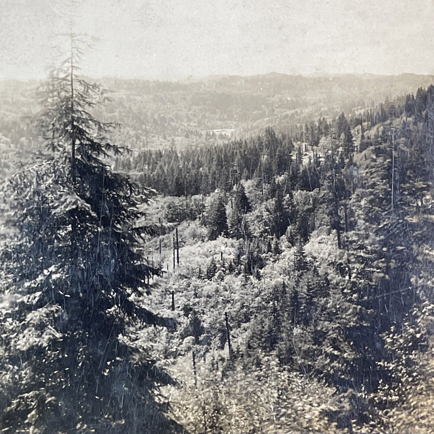 Blairsden California Vista Mountain View Stereoview Antique c1910 X1607