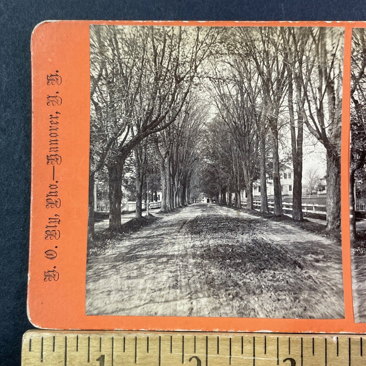 Main Street In Hanover NH Stereoview Photo Henry Osgood Bly Antique c1869 X964