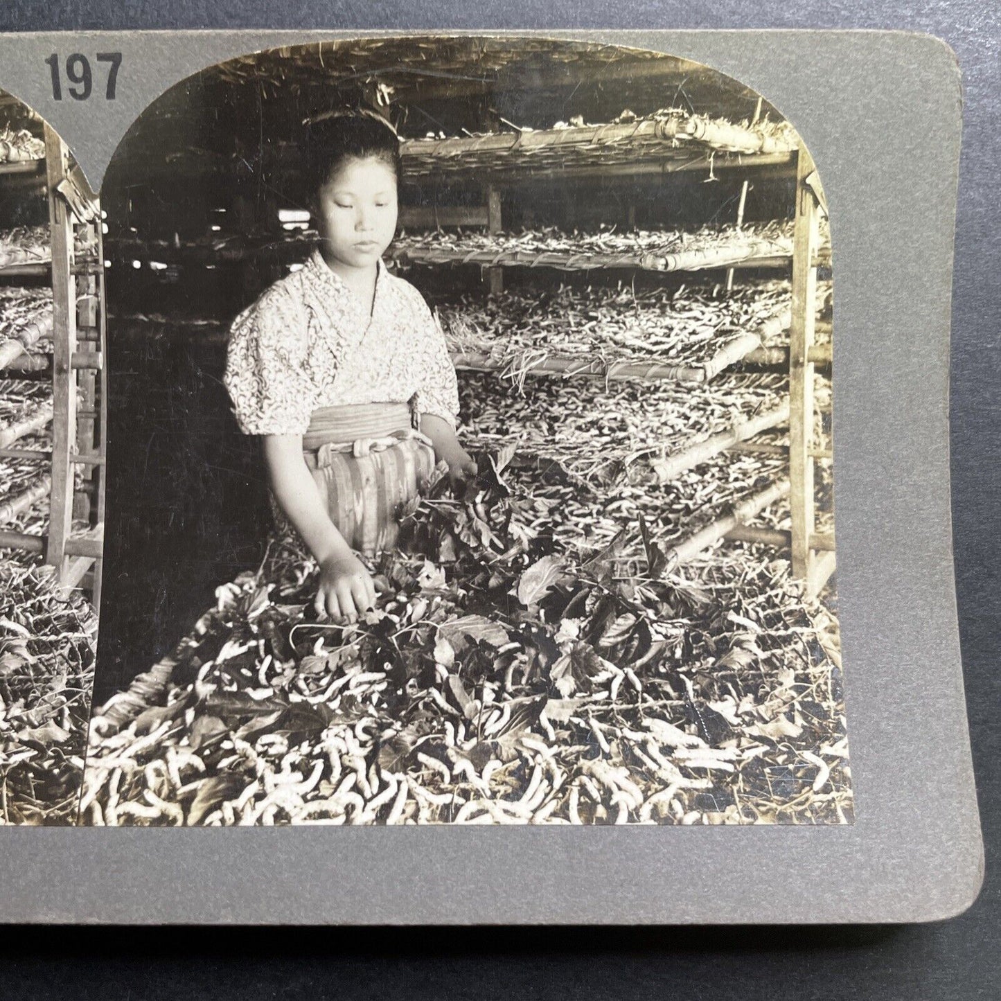 Antique 1904 Girl On Silkworm Farm Japan Stereoview Photo Card P1431