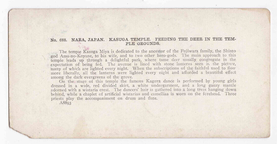 Antique 1904 Feeding Deer Kasuga Taisha Temple Nara Japan Stereo Card P293