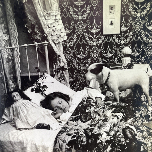 Antique 1899 Small Dog Wakes Sleeping Child Stereoview Photo Card P2294