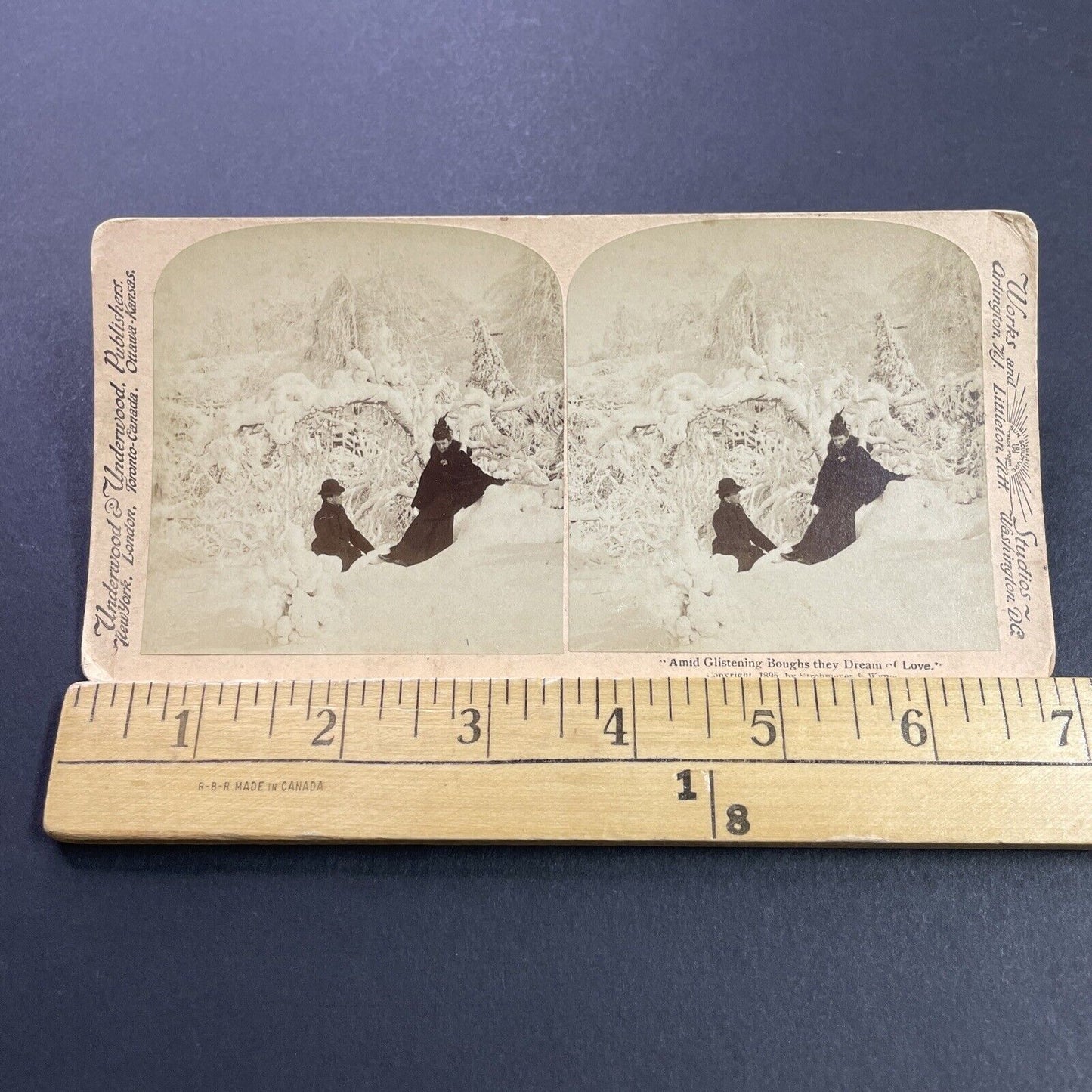 Antique 1895 The Great Freeze Gulf Blizzard Snowstorm Stereoview Photo Card 4092