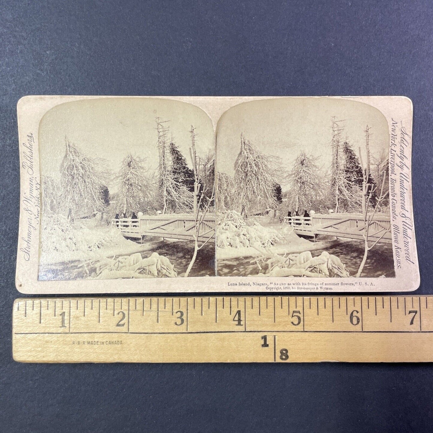 Luna Island Bridge Heavy Snow Stereoview Strohmeyer Antique c1893 Y1778