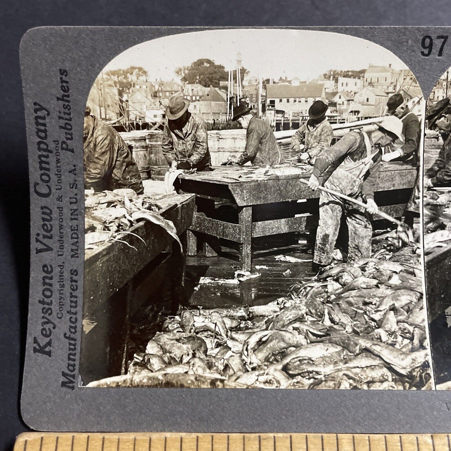 Antique 1920s Cleaning Cod Fish Gloucester MASS Stereoview Photo Card P5506