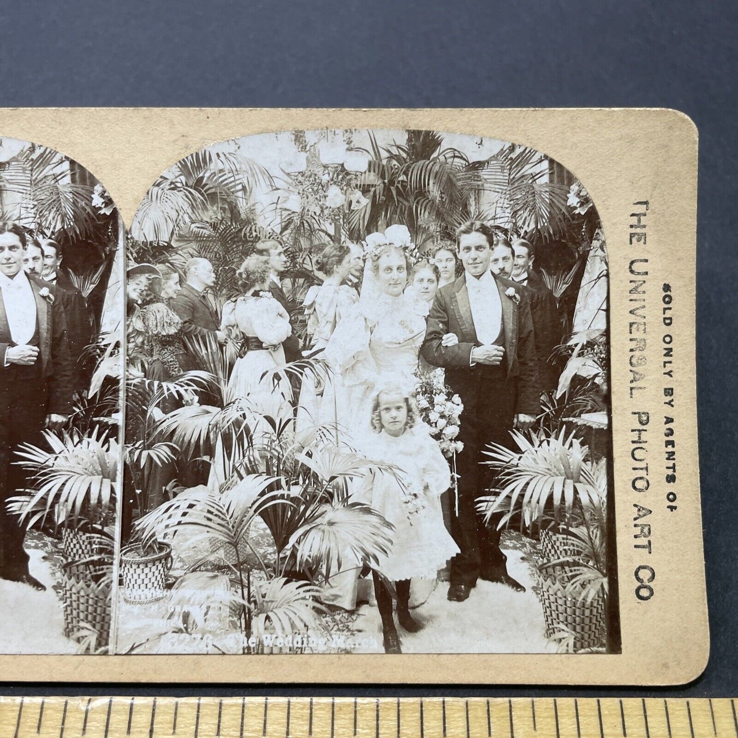 Antique 1890s The Bride, Groom And Flower Girl Stereoview Photo Card P2563