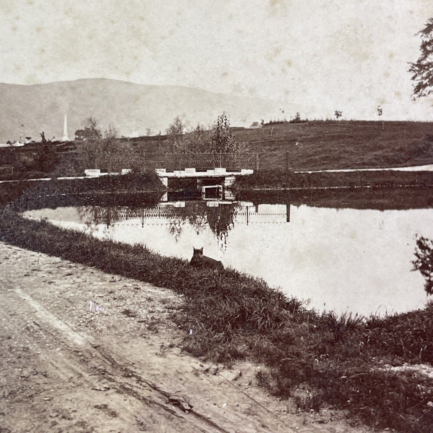 Dellwood Cemetery Manchester Vermont Stereoview O.B. Buell c1860s Y2546