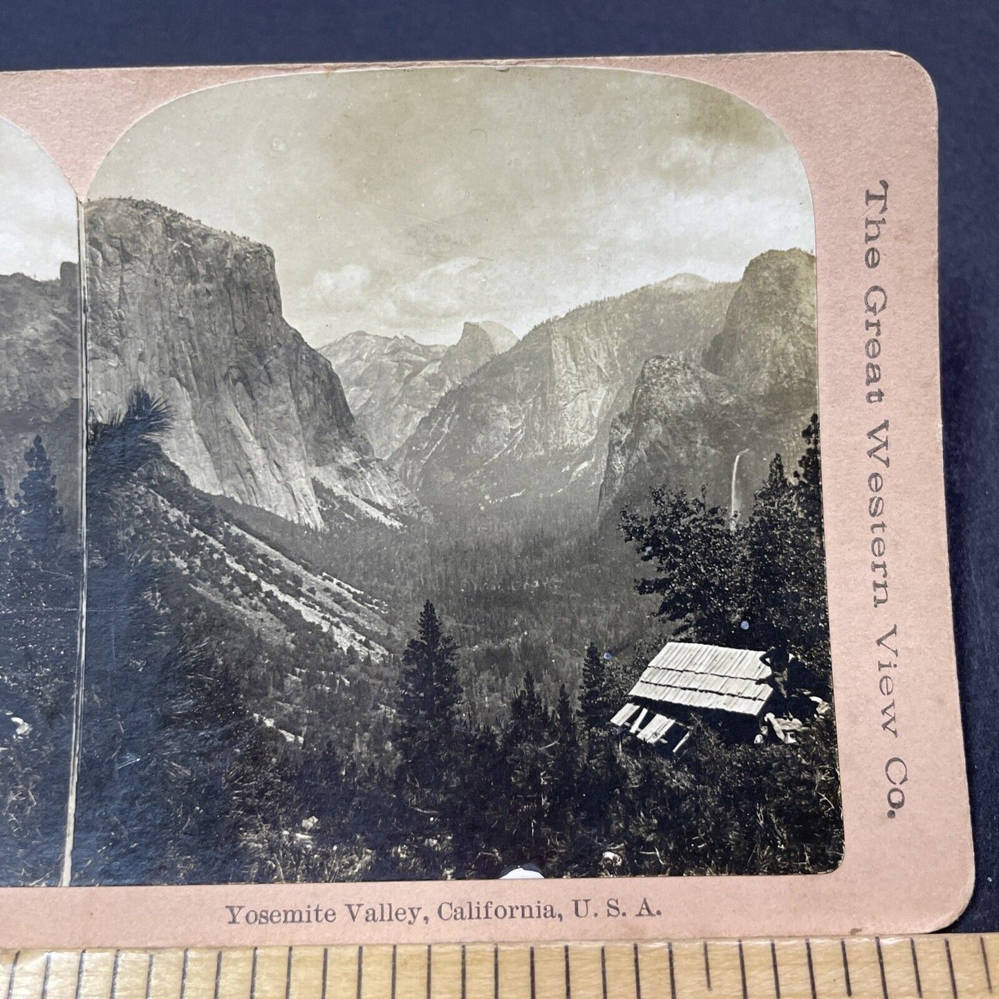 Antique 1880s John Muir In Yosemite California Stereoview Photo Card V2119