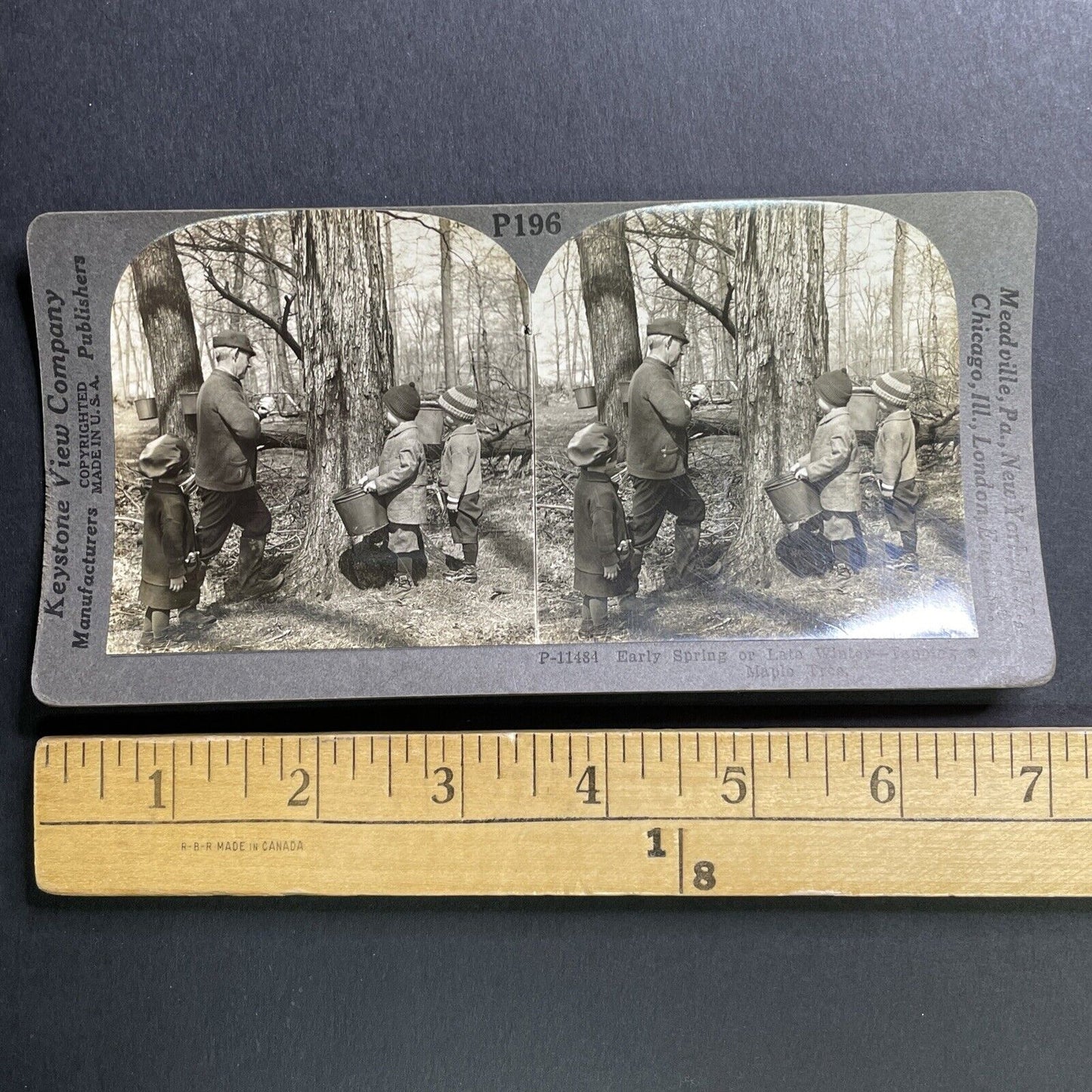 Antique 1920s Tapping Maple Tree Vermont Maple Syrup Stereoview Photo Card P1616