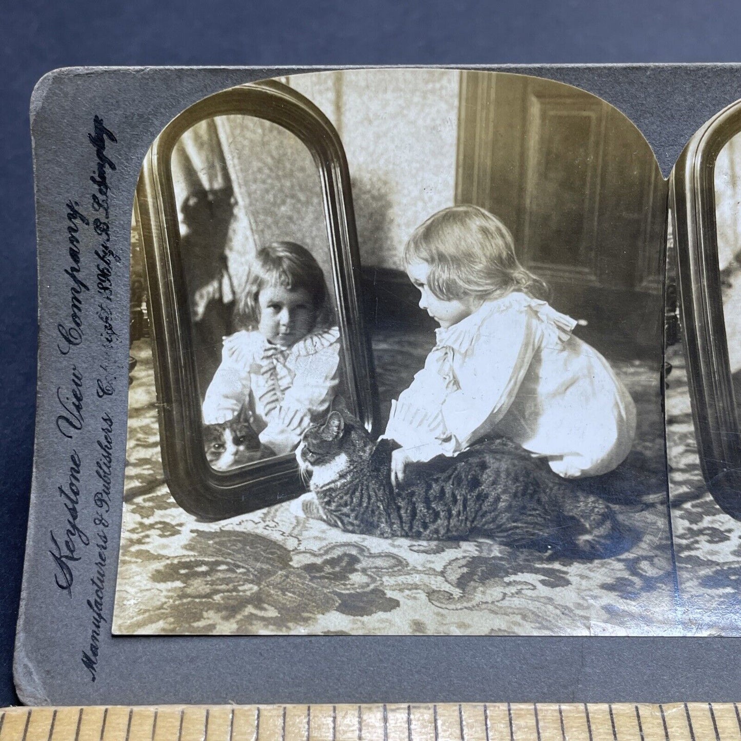 Antique 1896 A Toddler Girl With Her Cat In Mirror Stereoview Photo Card P1983