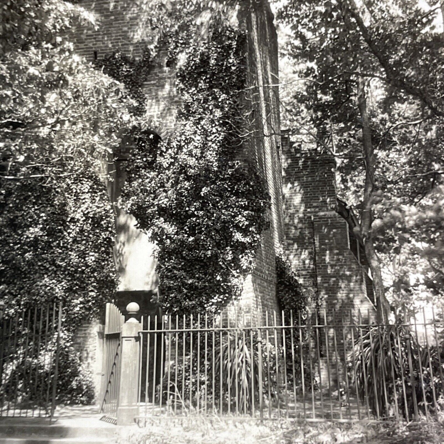 The Colonial Church Overgrown Jamestown Virginia Stereoview Antique c1920sY1159