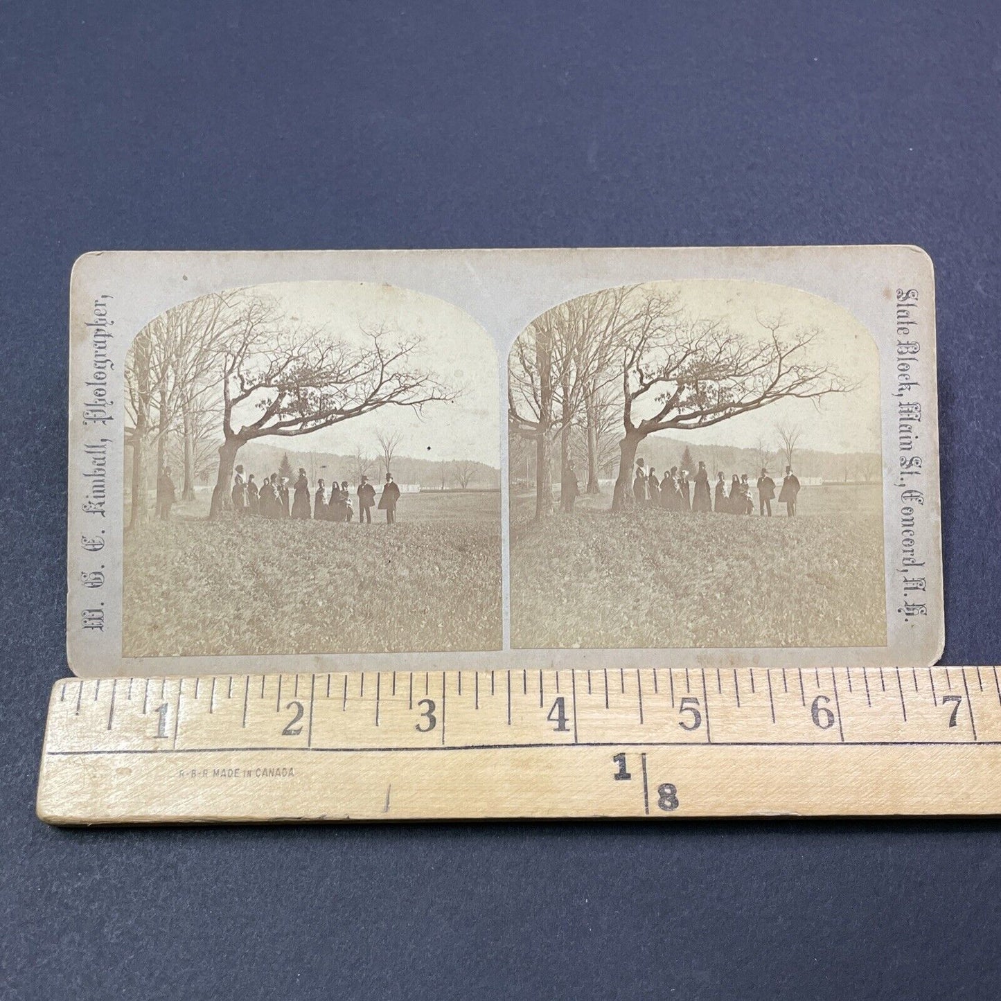 Antique 1850s Daniel Webster & Family Salisbury NH Stereoview Photo Card V1976