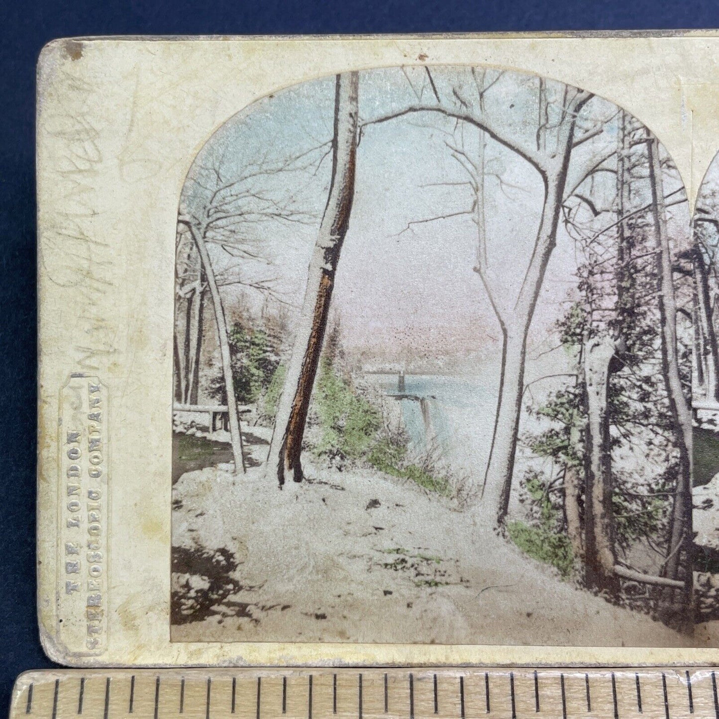 Antique c1859 Niagara Falls Gorge Trail New York Stereoview Photo Card V471