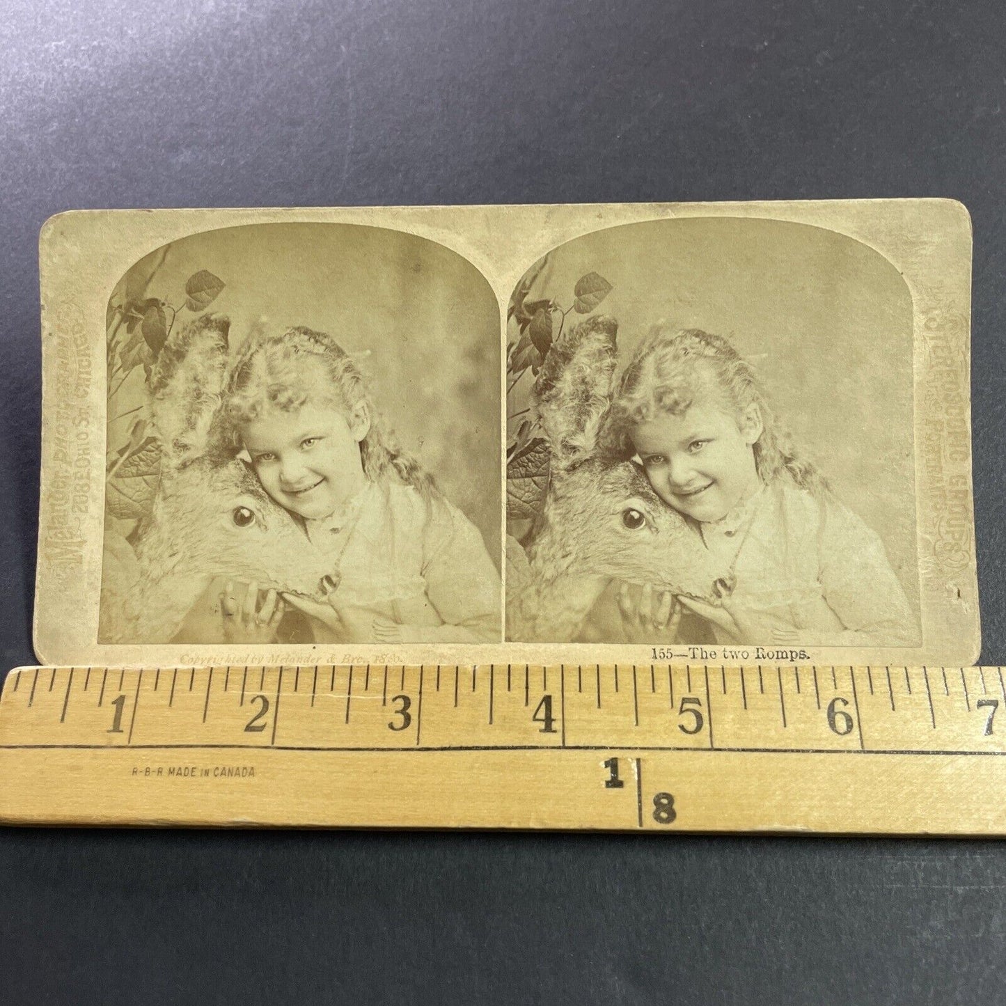 Antique 1880s Child Hugs A Stuffed Dead Deer Stereoview Photo Card P4040