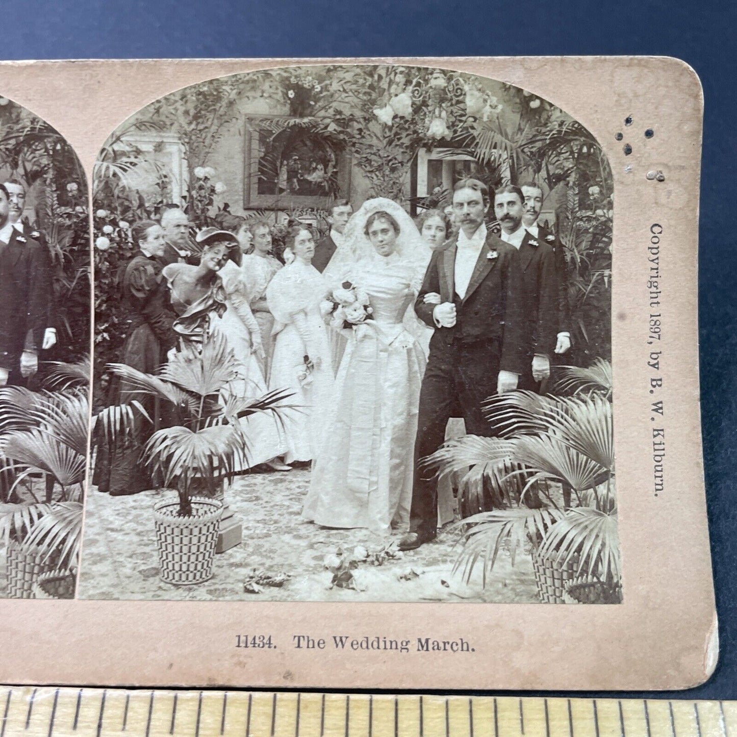 Antique 1897 Newlyweds Walk Down The Aisle Stereoview Photo Card P2955