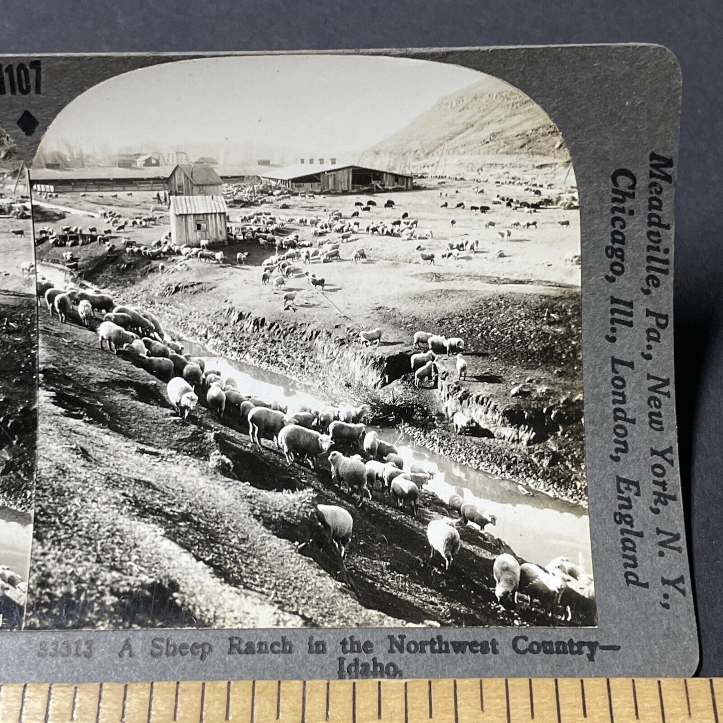 Antique 1930s Sheep Farm In Northwest Idaho Stereoview Photo Card V2656