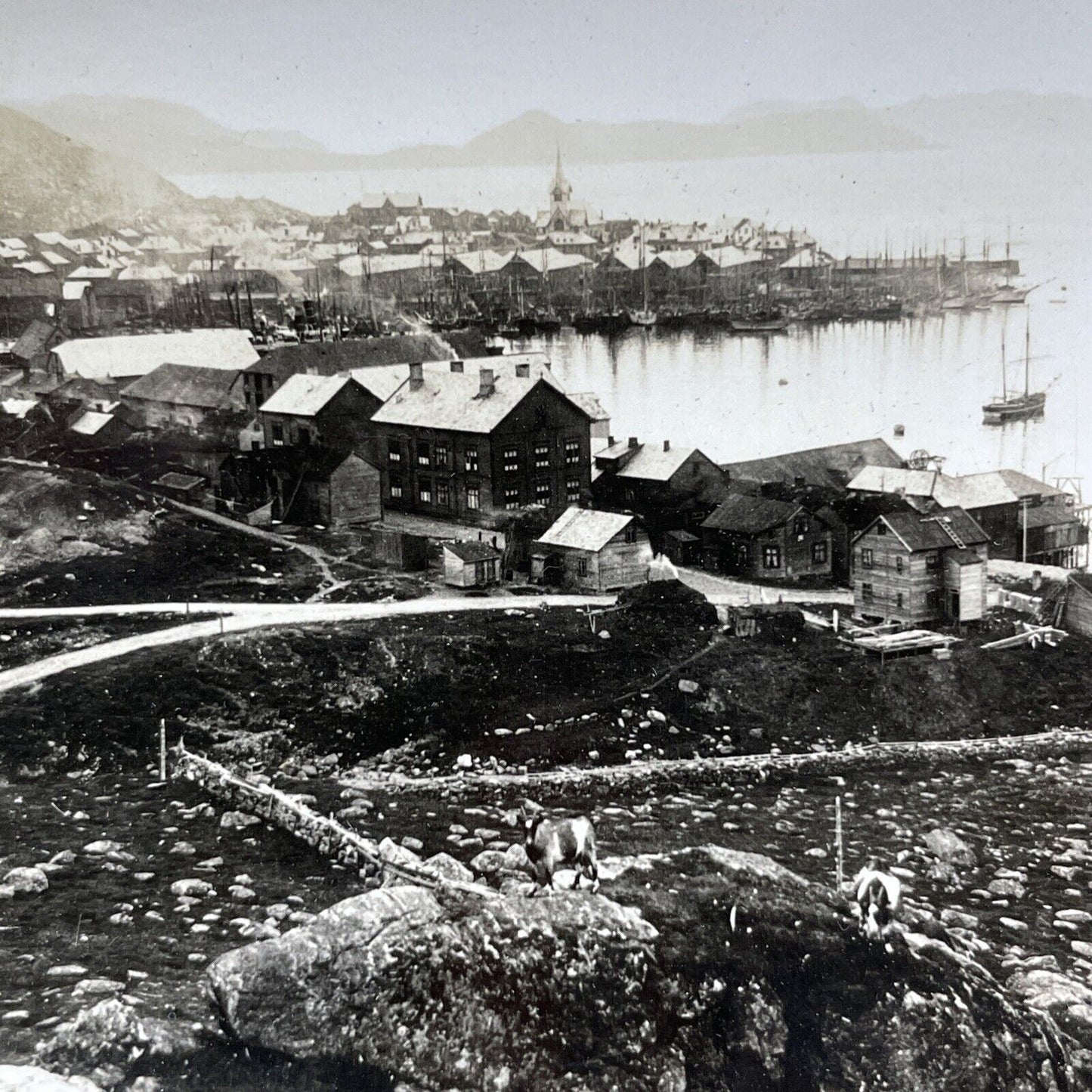 Antique 1909 Town Of Hammerfest Norway Stereoview Photo Card P1942