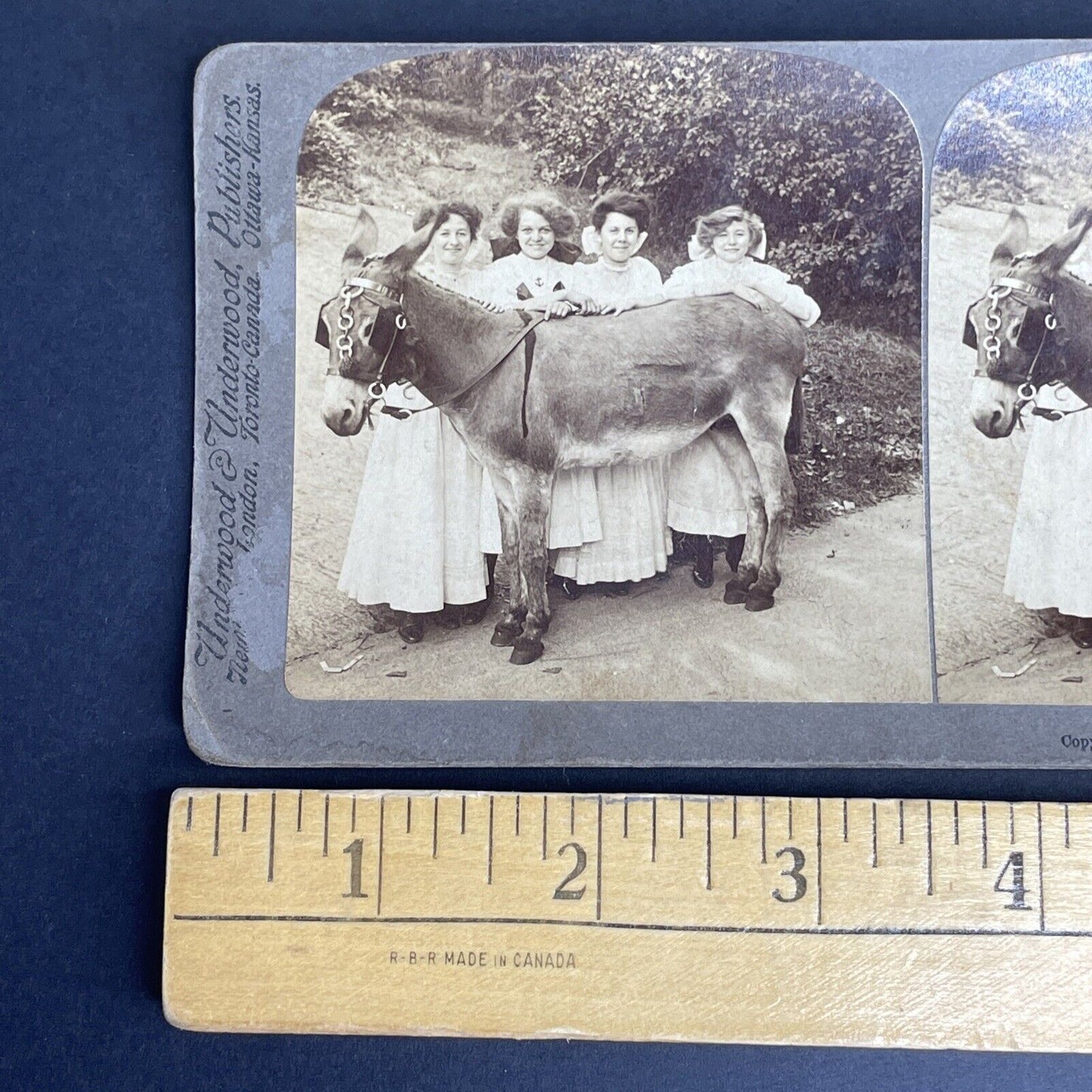 Antique 1907 Four Beauties And A Donkey Stereoview Photo Card PC793