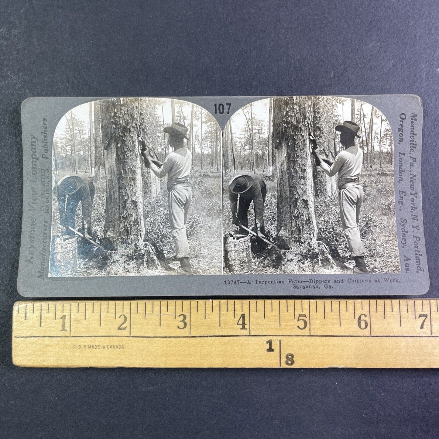 Men Stripping Trees For Turpentine Stereoview Savannah GA Antique c1909 X4111