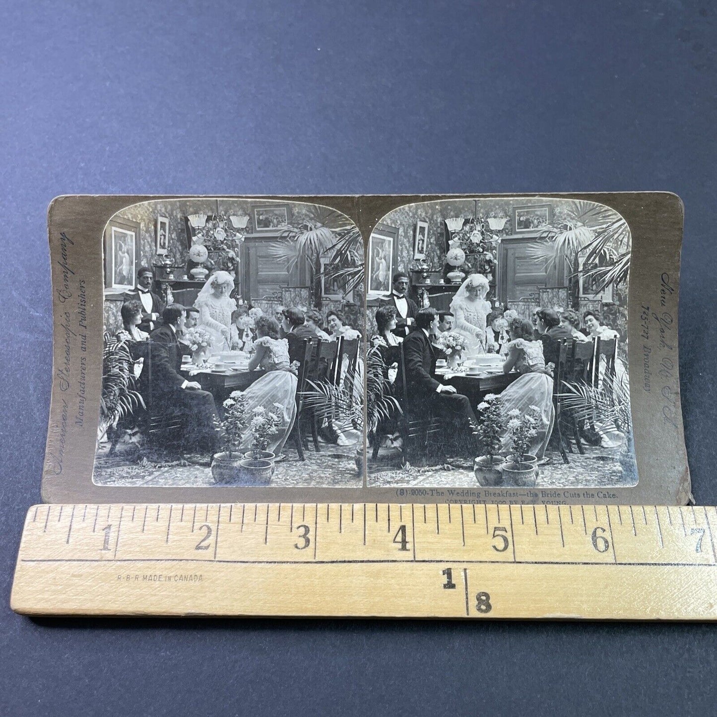 Antique 1900 Bride Cuts Wedding Cake Stereoview Photo Card P2904