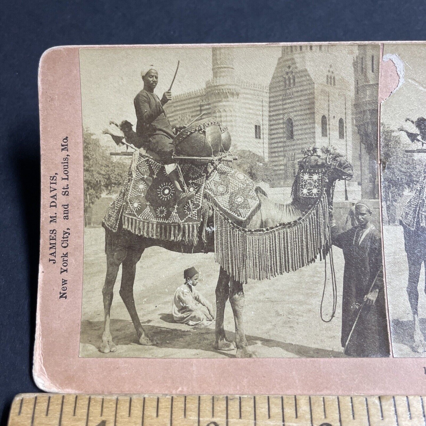 Antique 1898 Man Plays Drums On A Camal In Cairo Stereoview Photo Card P4191