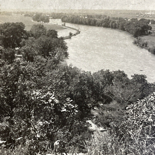 Antique 1910s Illinois River New State Park La Salle Stereoview Photo Card P4284