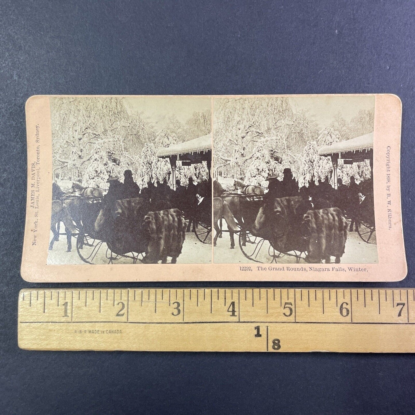 A Mink Lined Sleigh Stereoview Prospect Park New York Antique c1898 Y1865