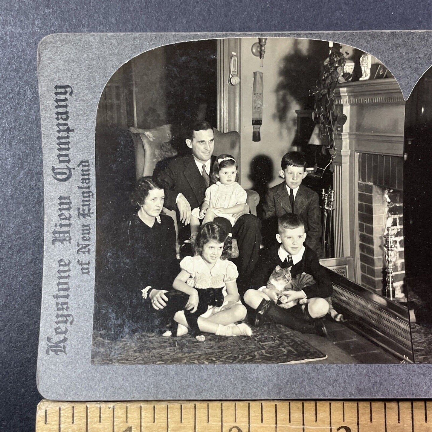 Dr Paul Sanderson With Family Stereoview Springfield MA Antique c1933 X2777