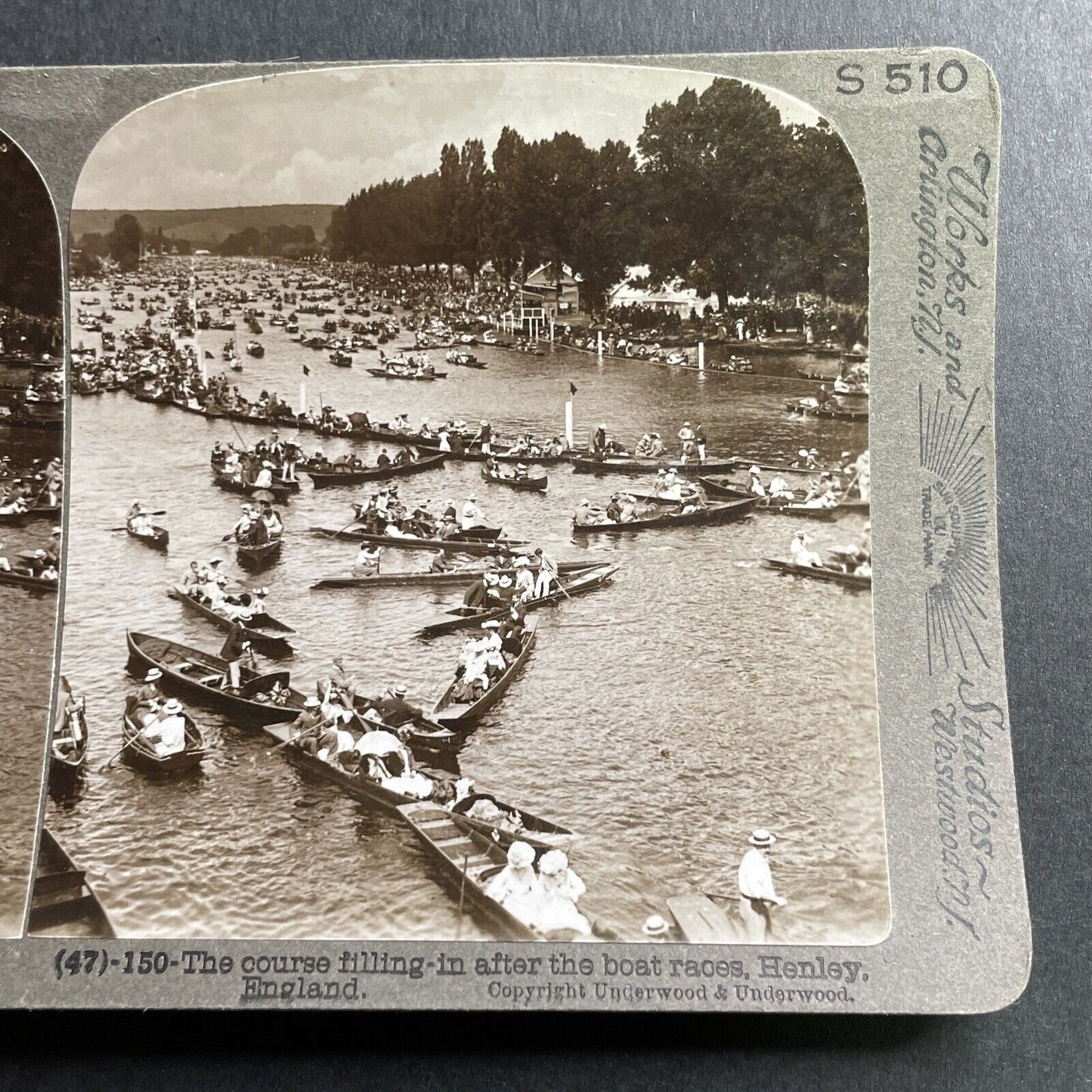 Antique 1905 London Rowing Club Regatta Thames River Stereoview Photo Card P1592