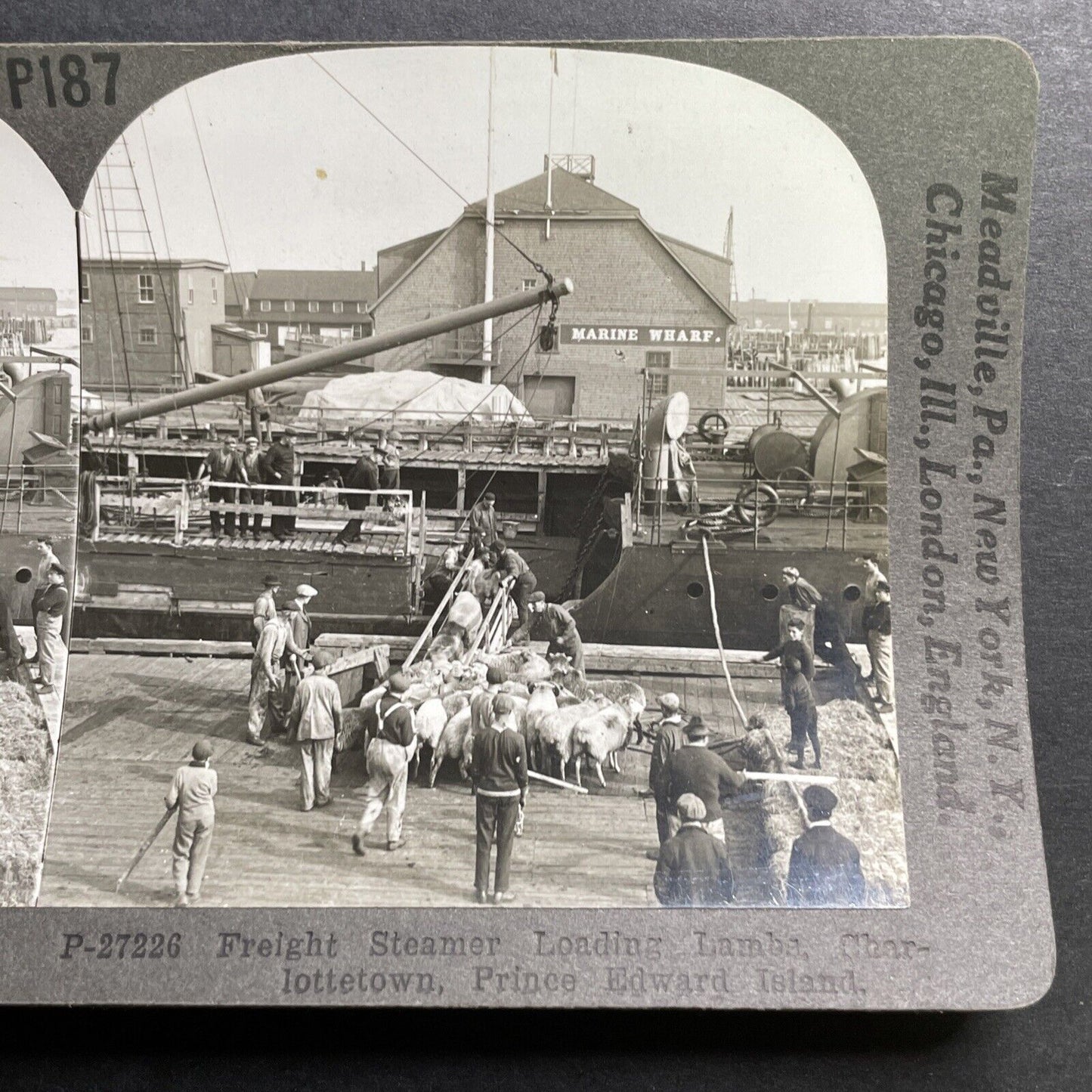 Antique 1910s Marine Wharf Charlottetown PEI Stereoview Photo Card P1448