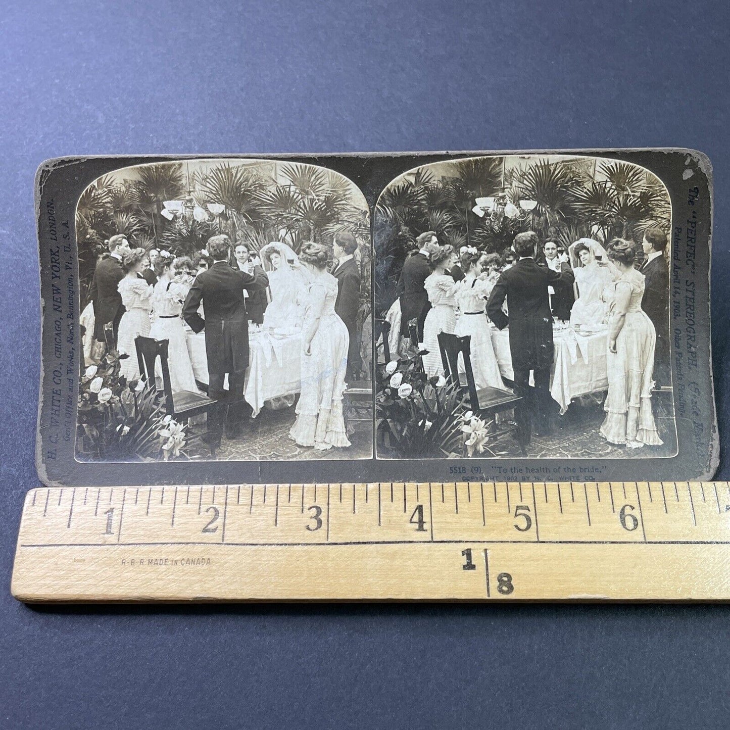 Antique 1902 A Wine Toast At Wedding Dinner Stereoview Photo Card P2888