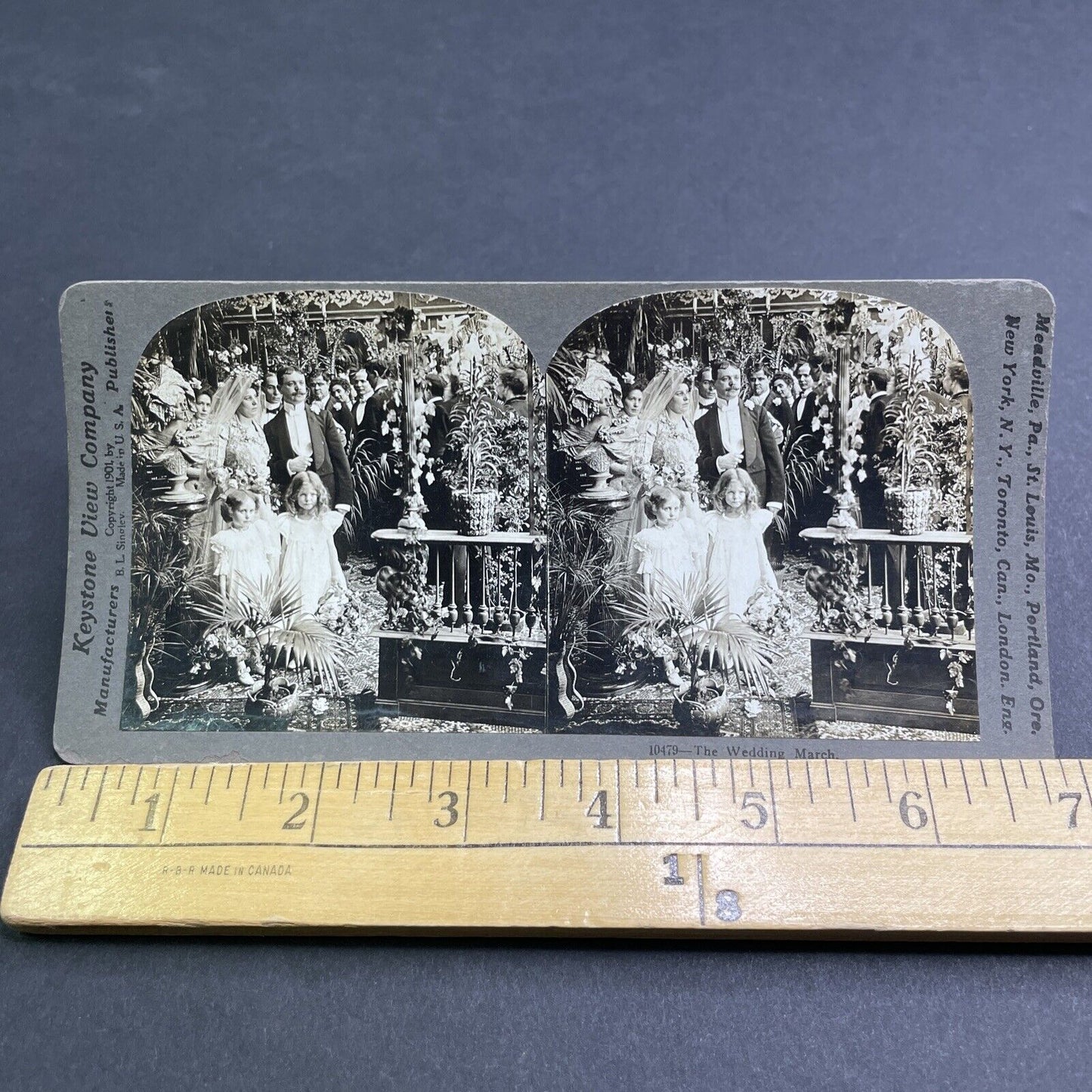 Antique 1901 Formal Wedding Attire In The 1900s Stereoview Photo Card P1933