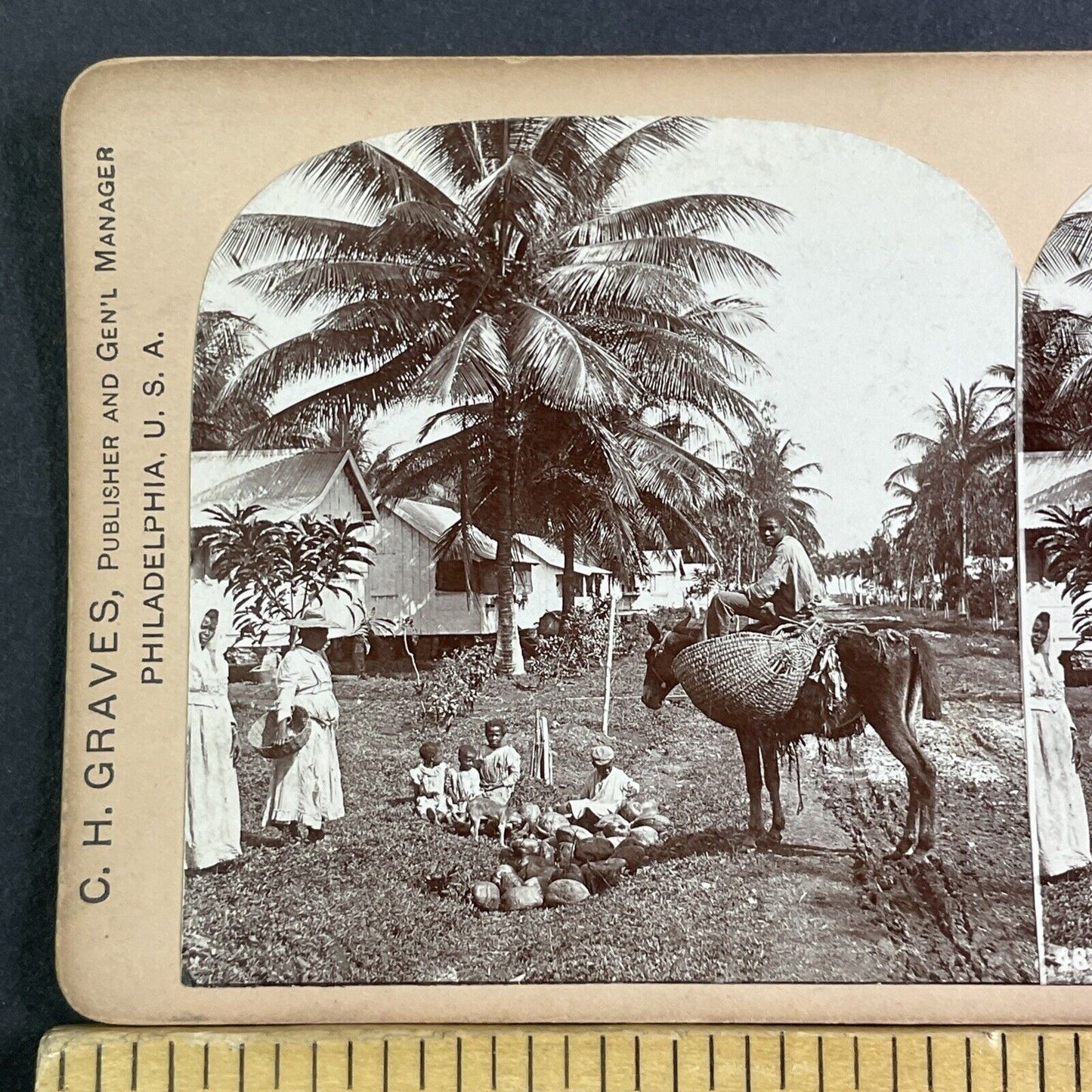 Port Antonio Jamaica Town Village Stereoview CH Graves Antique c1898 X3220