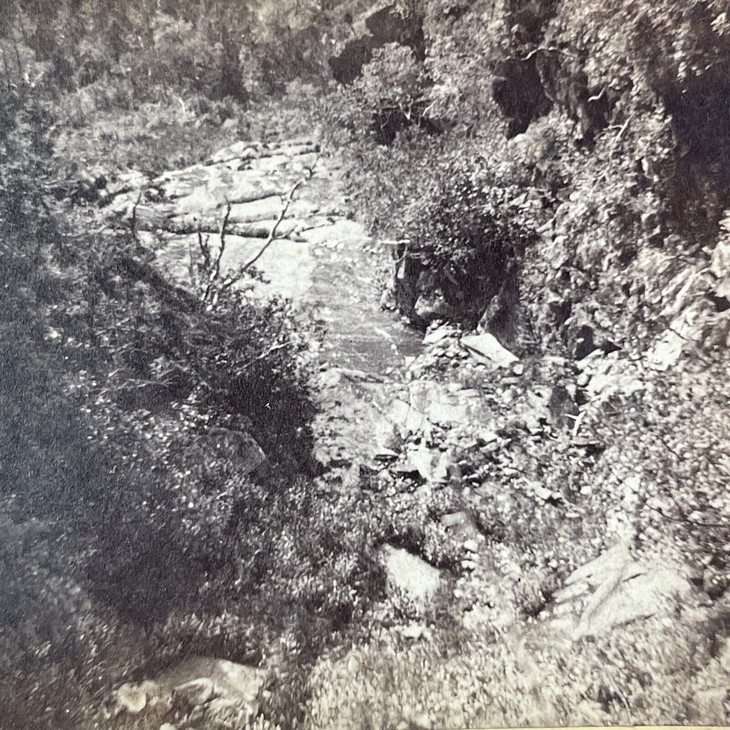 Baker River Ravine Warren New Hampshire Stereoview A.F. Clough c1860s Y887