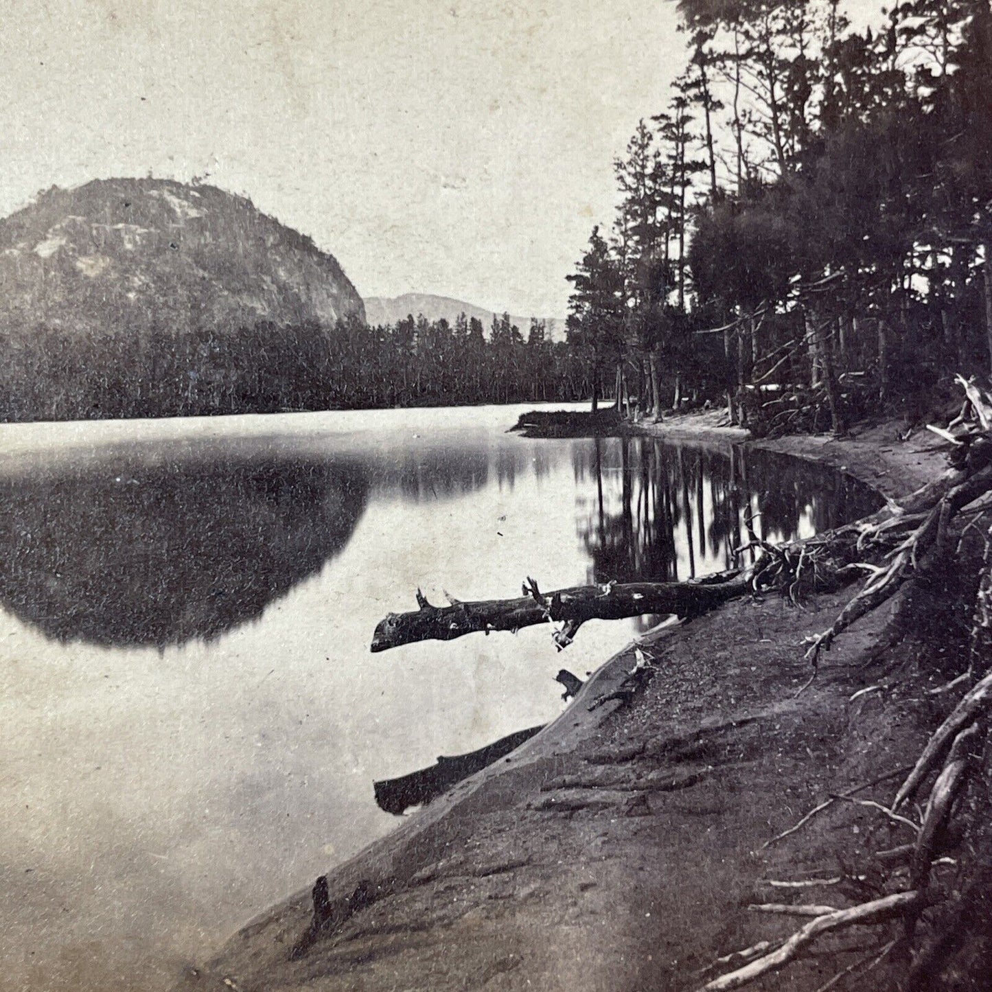 Hart's Ledge Echo Lake NH Stereoview Edward Bierstadt Antique c1870 X973