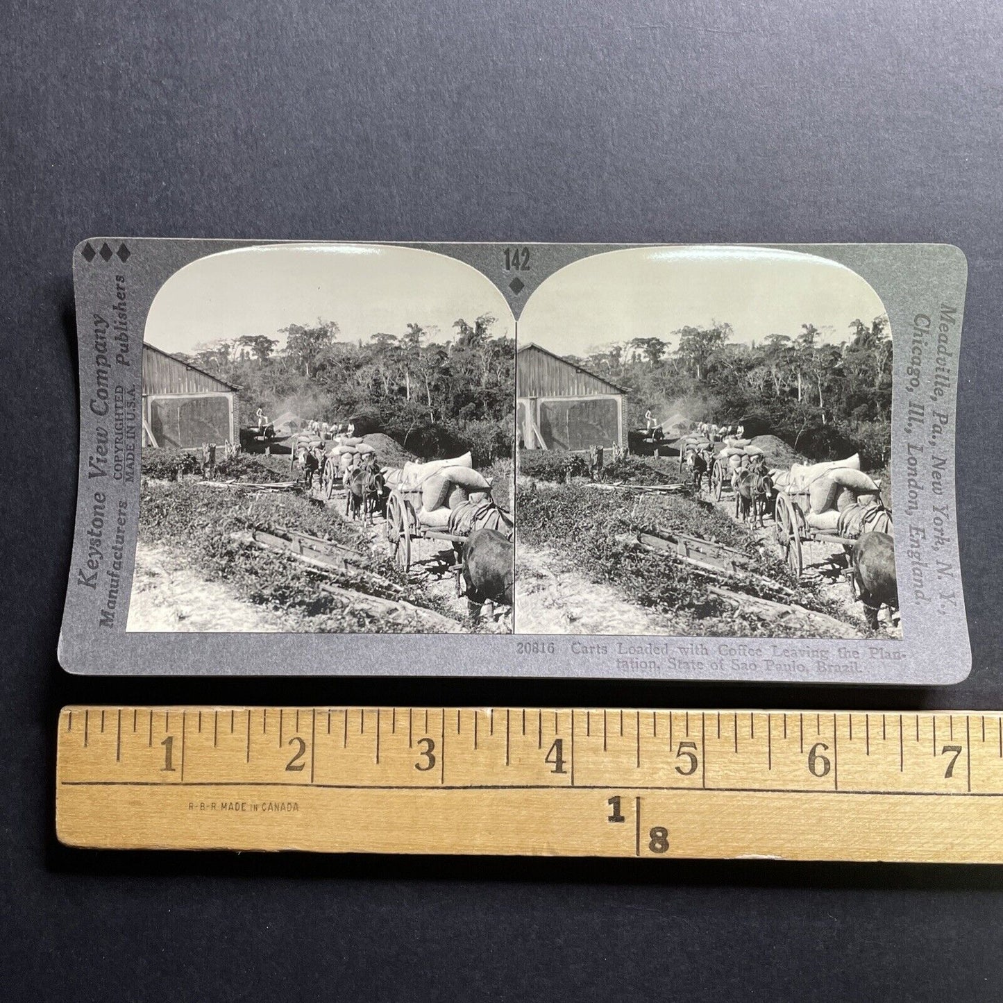 Antique 1918 Coffee Plantation Sao Paolo Brazil Stereoview Photo Card P1772