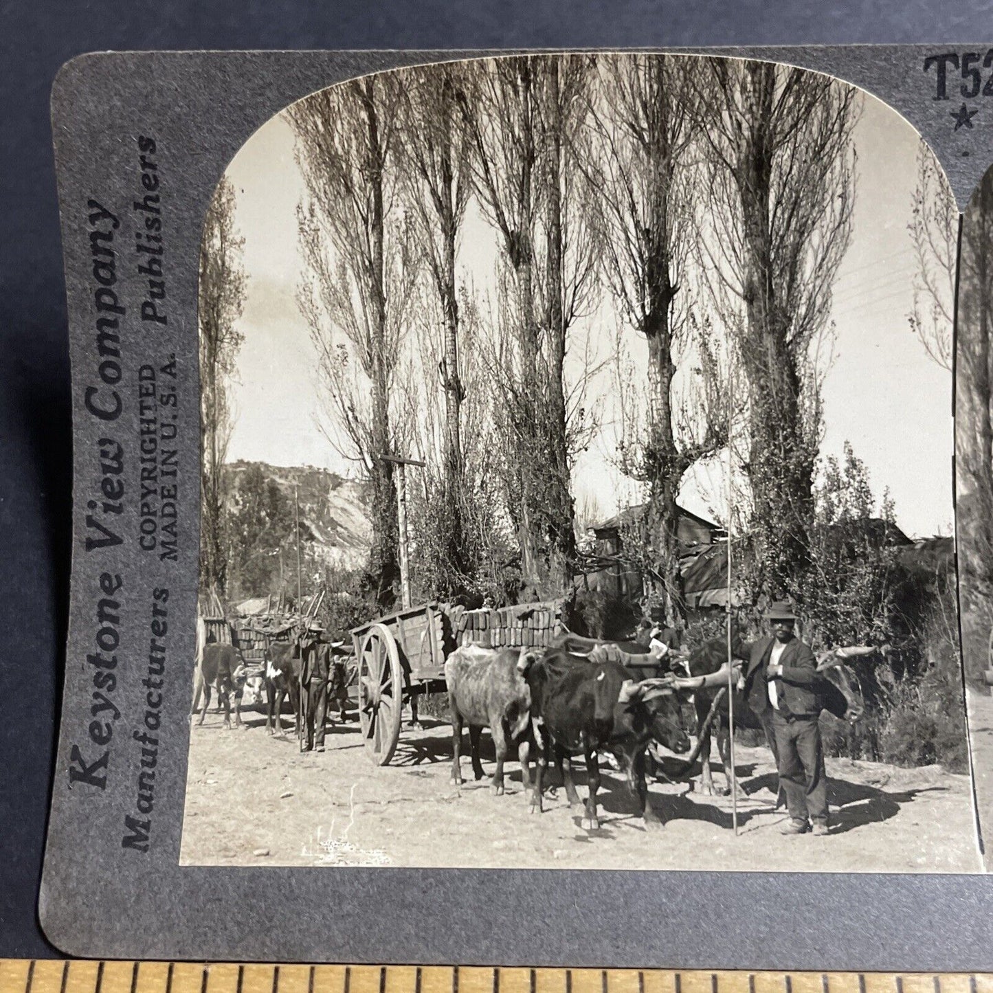 Antique 1910s An Oxen Ox Wagon Full Of Bricks Chile Stereoview Photo Card P5051