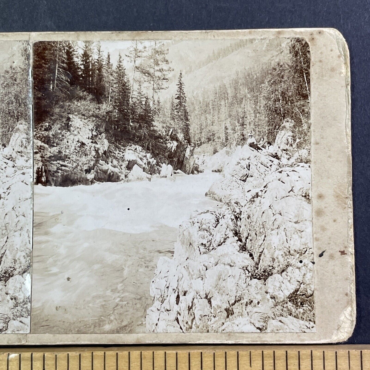 Katun River Near Kaitanak Siberia Stereoview IR Tomashkevich Antique c1896 X2618