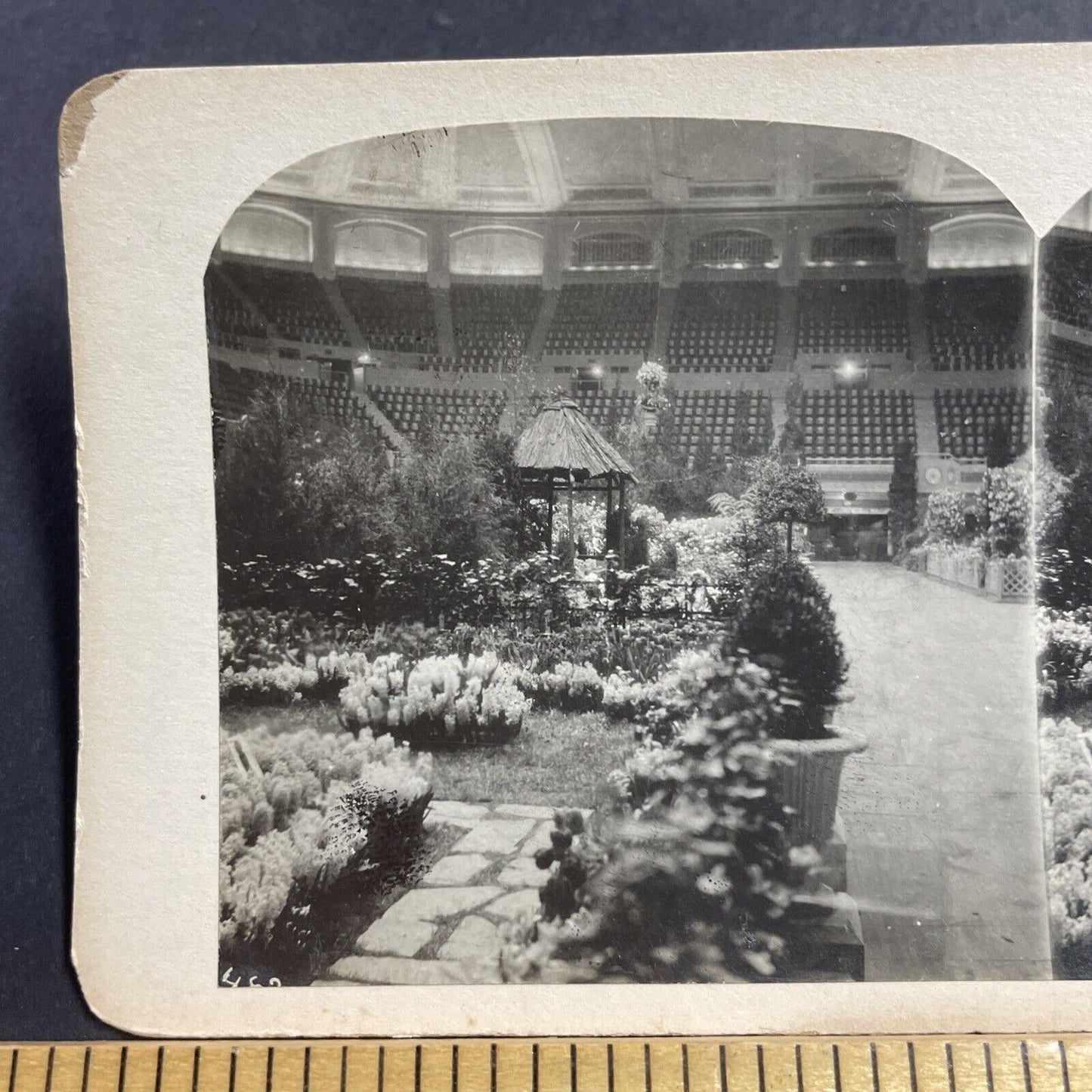 Antique 1870s Inside Madison Square Garden NYC Stereoview Photo Card P856-10