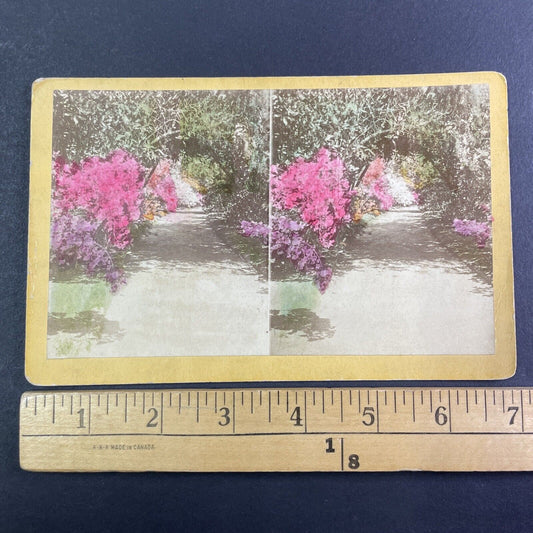 Entrance of John Grimke Drayton Stereoview Charleston South Carolina c1870 Y1327